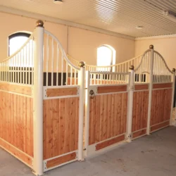 APPALOOSA_20