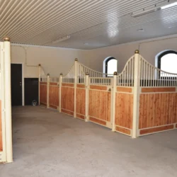 APPALOOSA_25