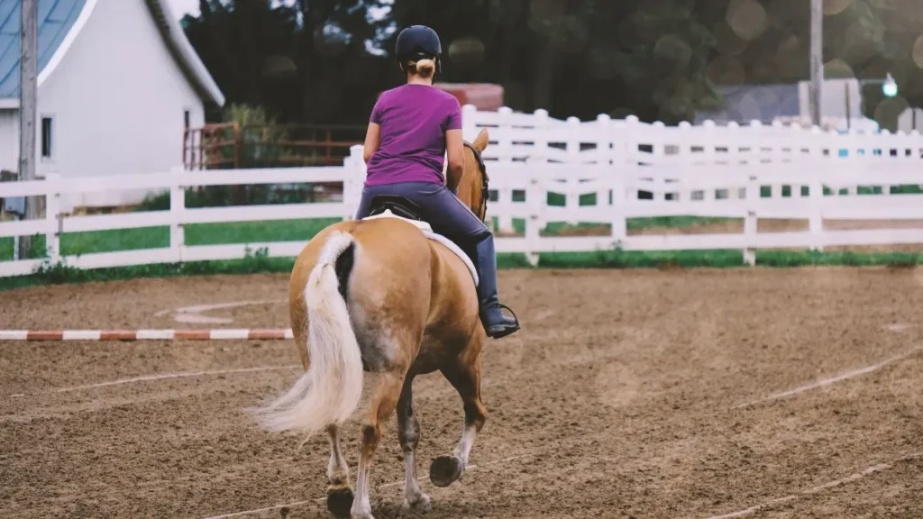 Bezpieczny trening jazdy konnej
