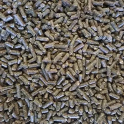 20240617_115729-rotated