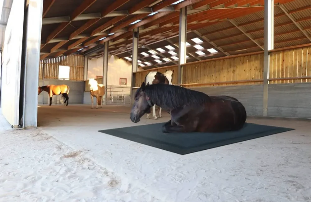 HORSE-STOP_0008_TAPMAT HORSE-STOP_0008_TAPMAT