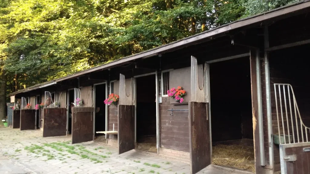 Stajnia przydomowa z rzędem drewnianych boksów z wyjściem na zewnątrz